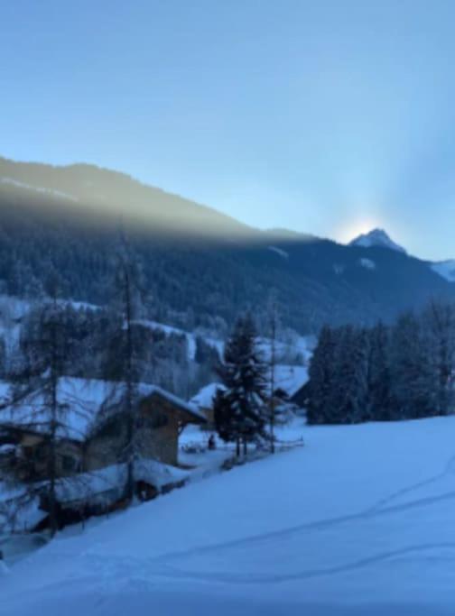 Appartement Cosy Proche Chatel Portes Du Soleil - Linge Inclus Abondance Exteriér fotografie